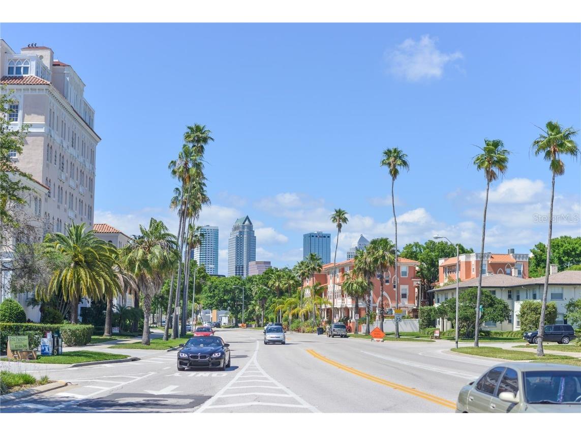 566 Rhine Avenue Tampa FL 33606 TB8439841 image14