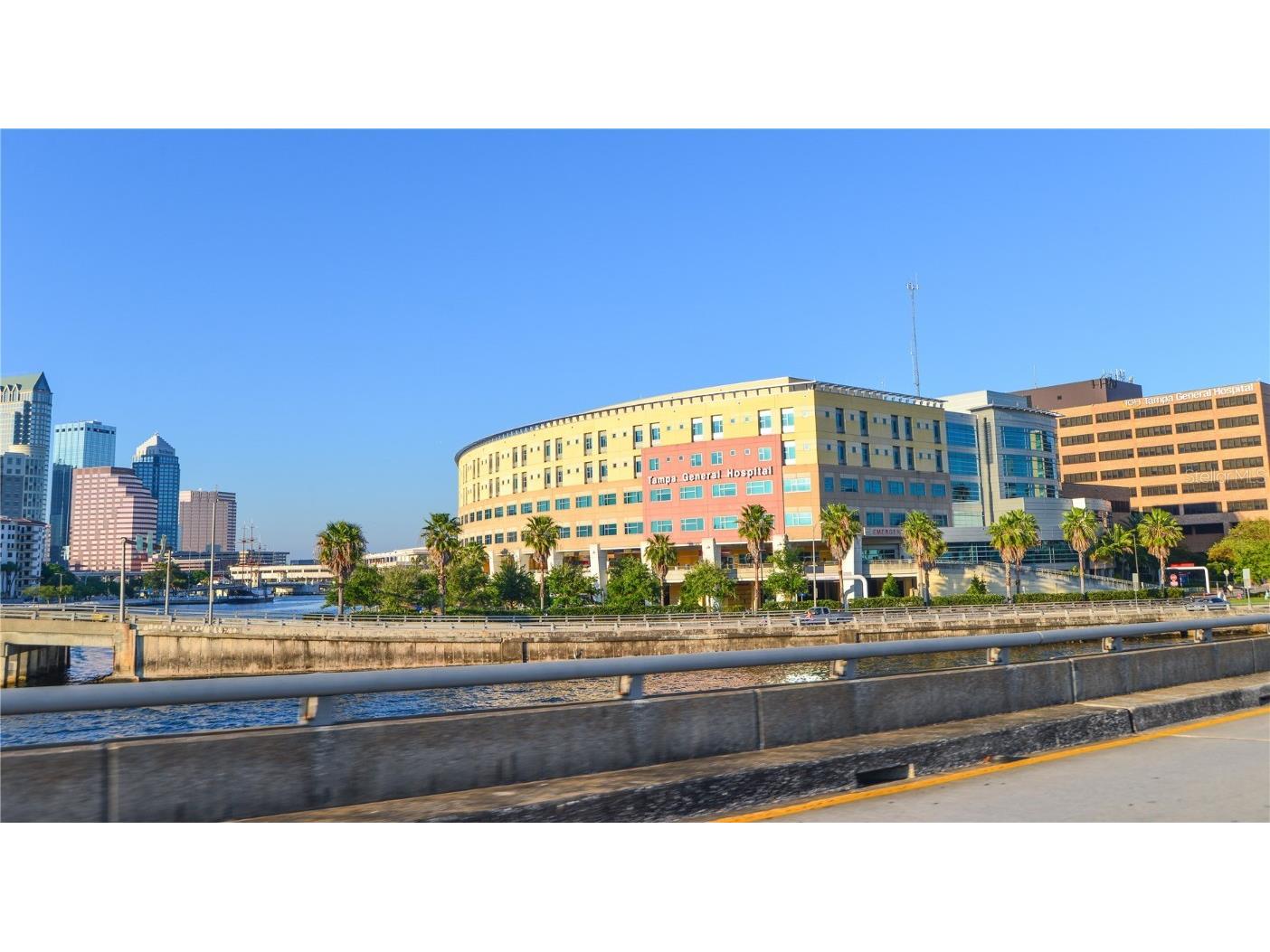 566 Rhine Avenue Tampa FL 33606 TB8439841 image4