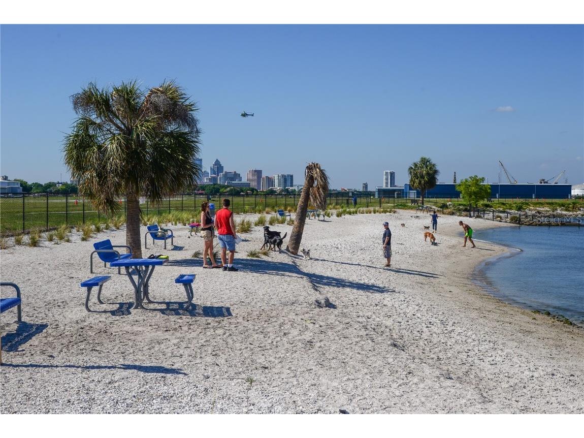 566 Rhine Avenue Tampa FL 33606 TB8439841 image6