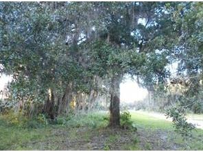 566 Sioux Boulevard Oak Hill FL 32759 O6377074 image1
