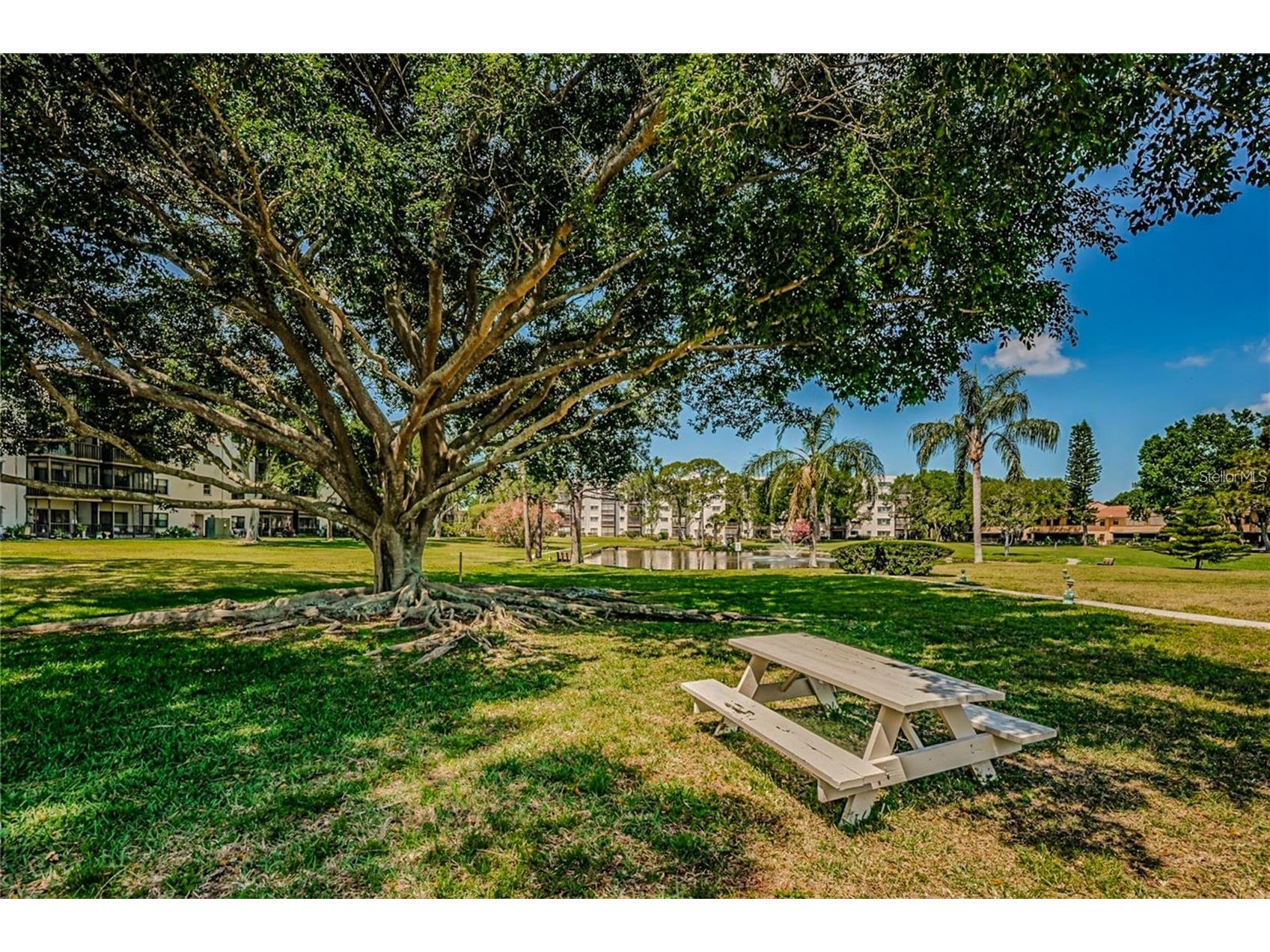 5660 80th Street N #A303 Saint Petersburg FL 33709 TB8421655 image33