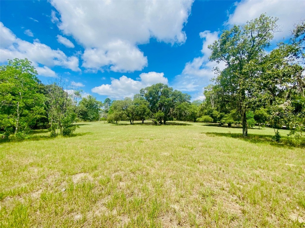 5660 W Knoxville Lane Dunnellon FL 34433 OM681129 image1