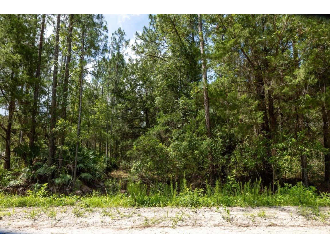 5661 Ironwood Avenue Bunnell FL 32110 FC310595 image1