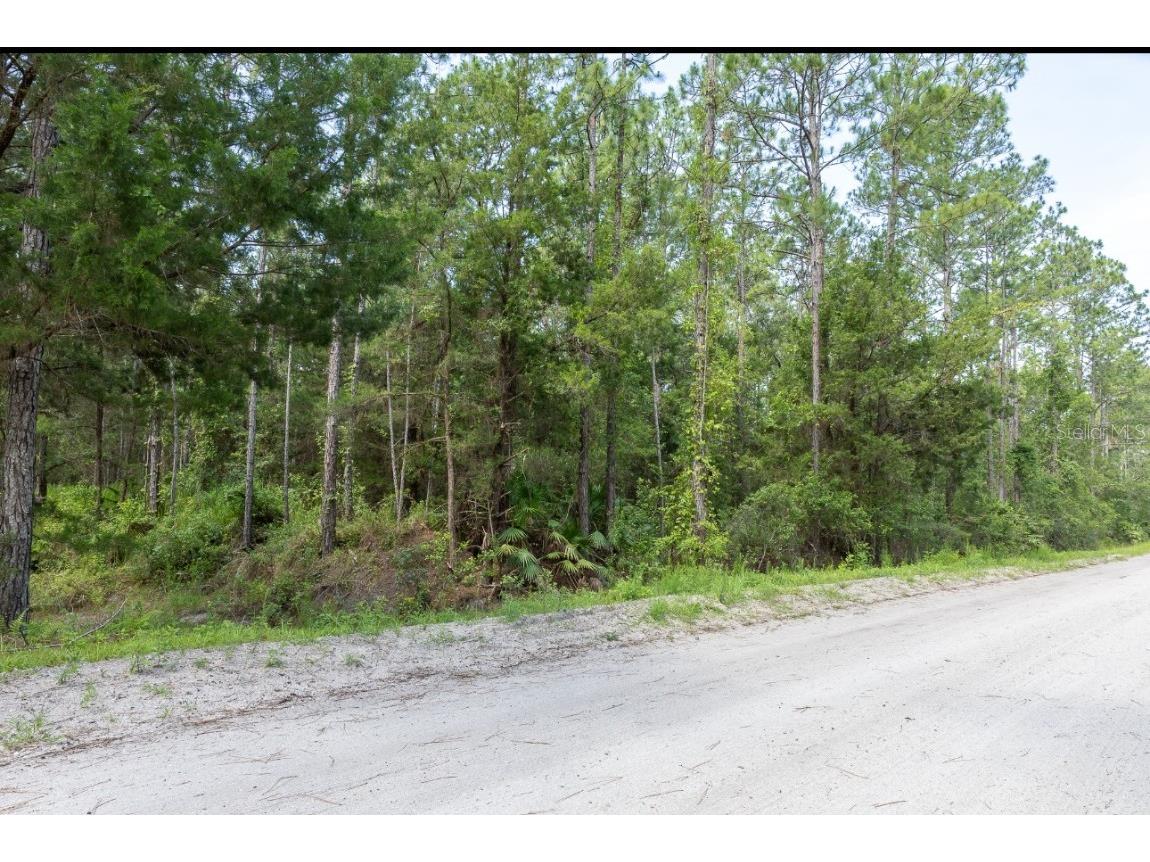 5661 Ironwood Avenue Bunnell FL 32110 FC310595 image2