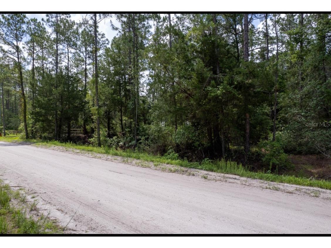 5661 Ironwood Avenue Bunnell FL 32110 FC310595 image3