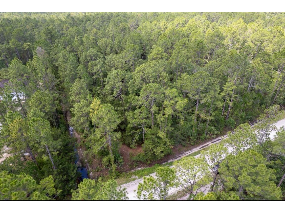 5661 Ironwood Avenue Bunnell FL 32110 FC310595 image7