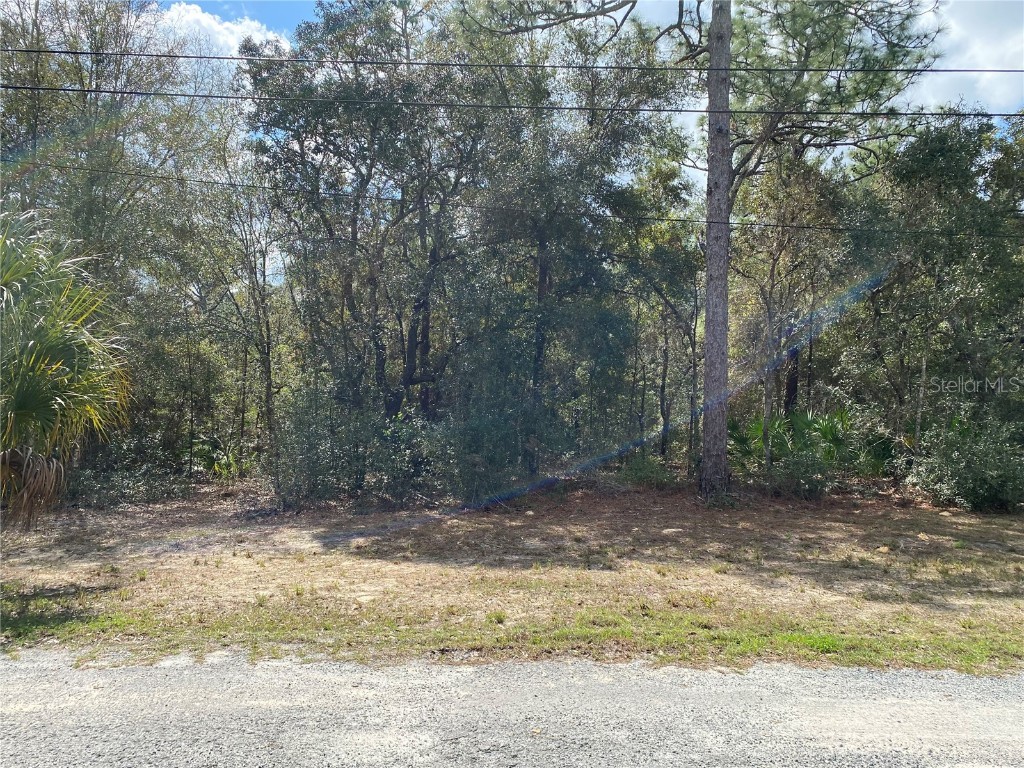 5662 W Kettle Lane Crystal River FL 34429 U8192416 image1