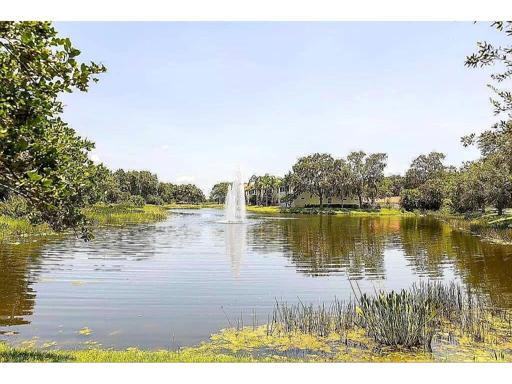 5662 Whitehead Street Bradenton FL 34203 O6359524 image9