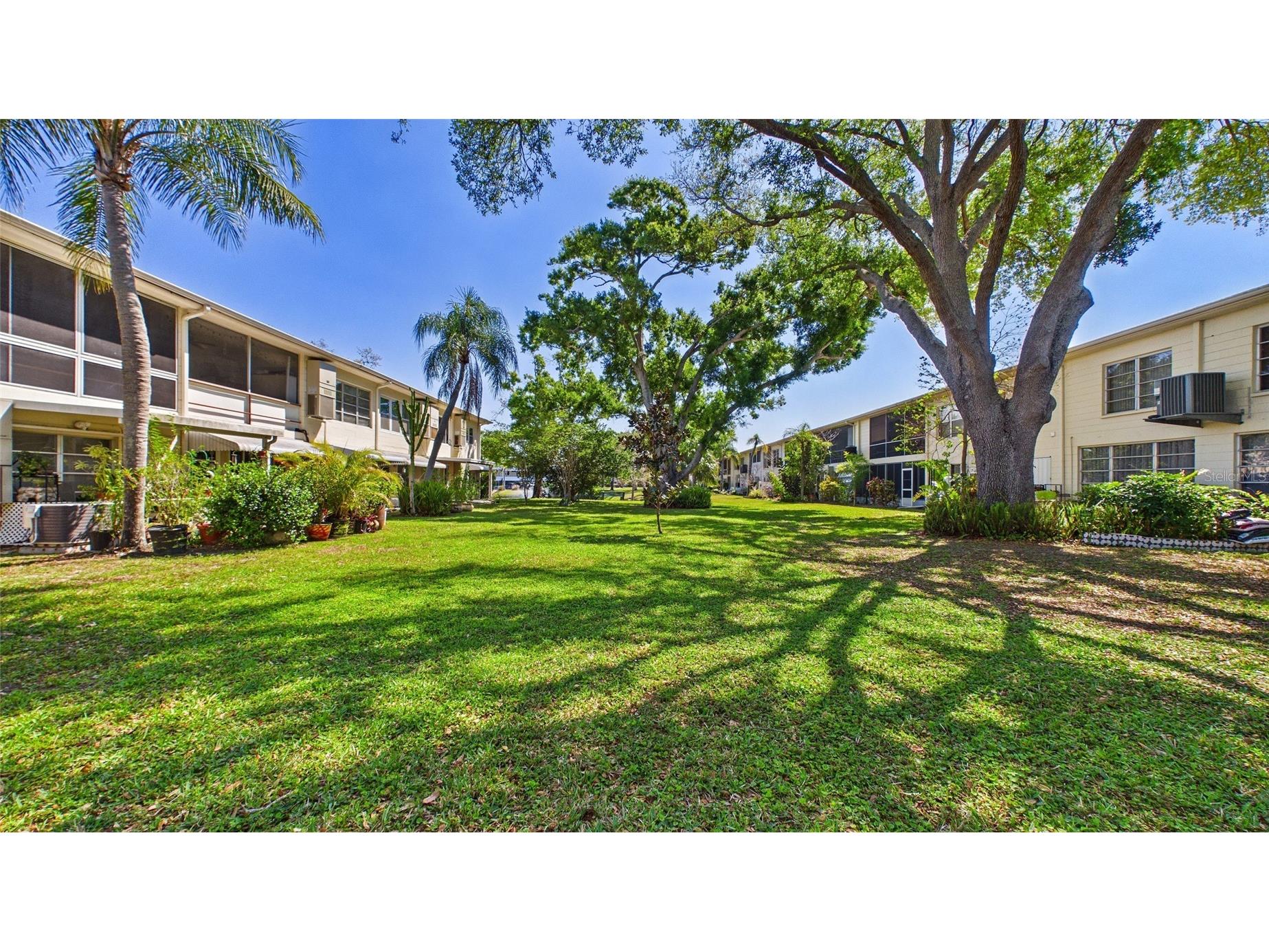 5664 40th Terrace N #428 Saint Petersburg FL 33710 TB8491600 image1