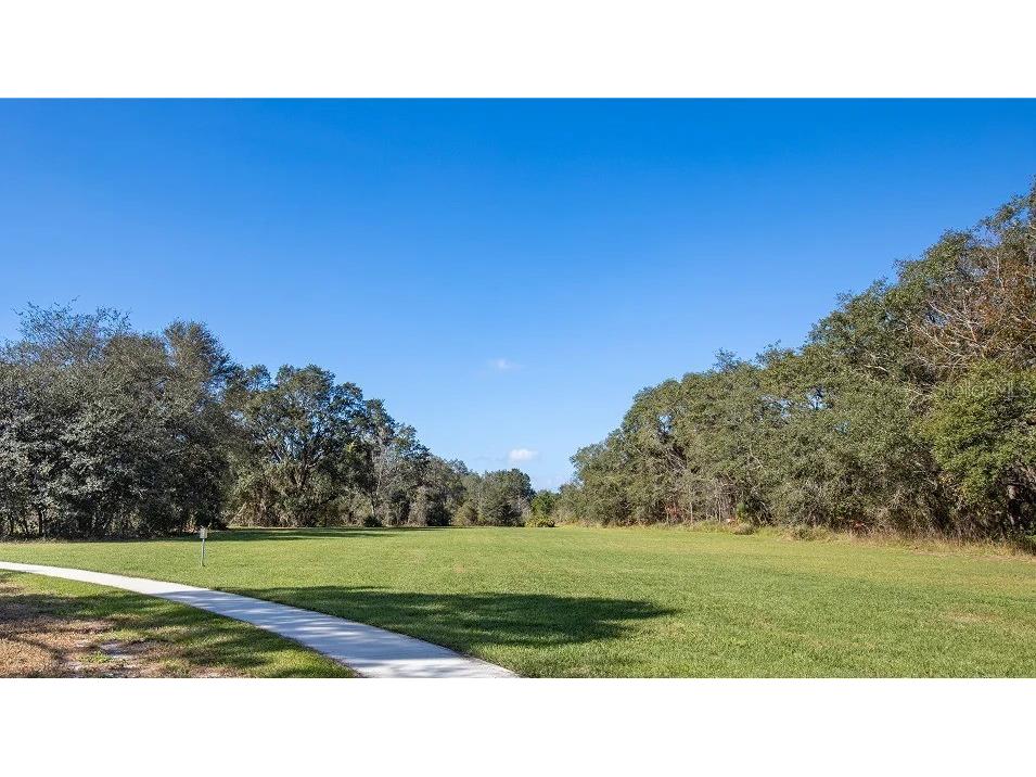 5664 Lemon Grass Street Clermont FL 34714 O6365553 image36