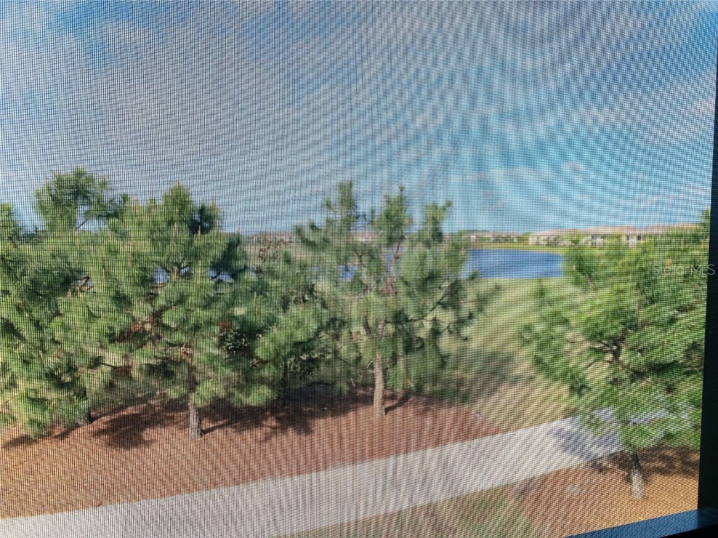 5664 Palmer Circle #202 Bradenton FL 34211 A4529299 image39