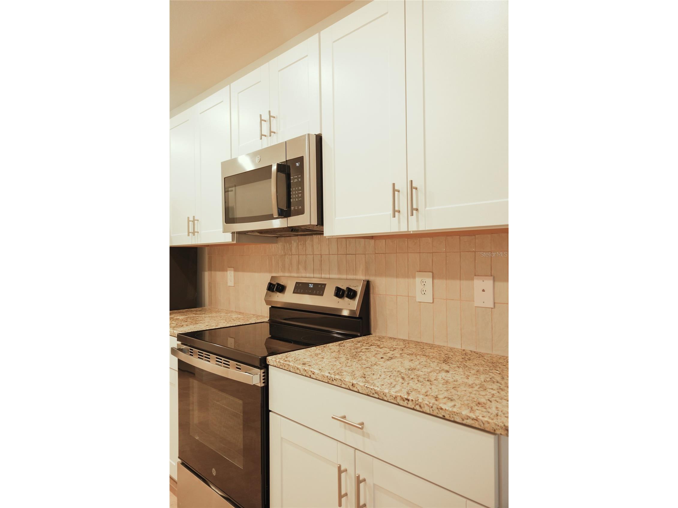 5665 Nispero Way Kissimmee FL 34758 O6406325 image11