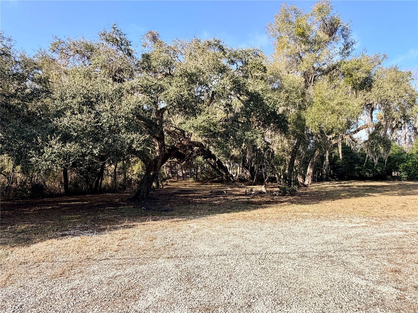 5666 S Florida Avenue Floral City FL 34436 OM718942 image1
