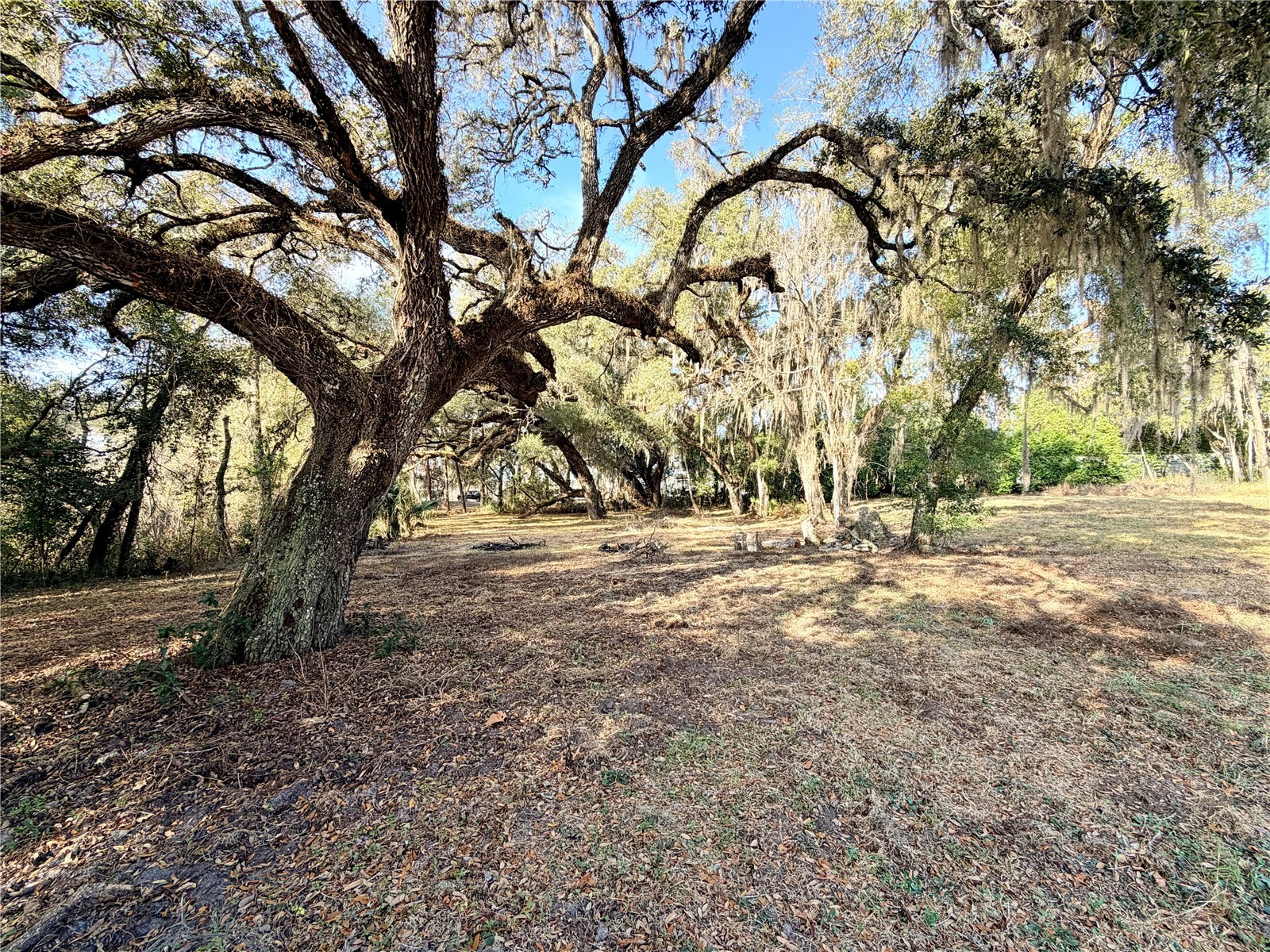 5666 S Florida Avenue Floral City FL 34436 OM718942 image6