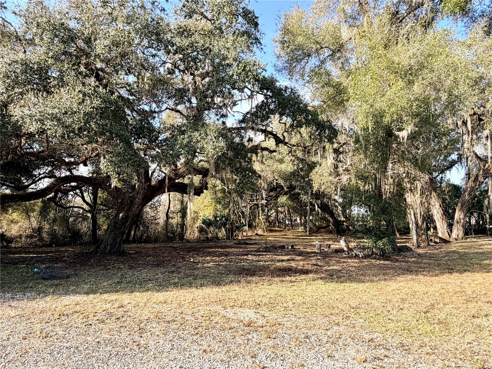 5666 S Florida Avenue Floral City FL 34436 OM718942 image7