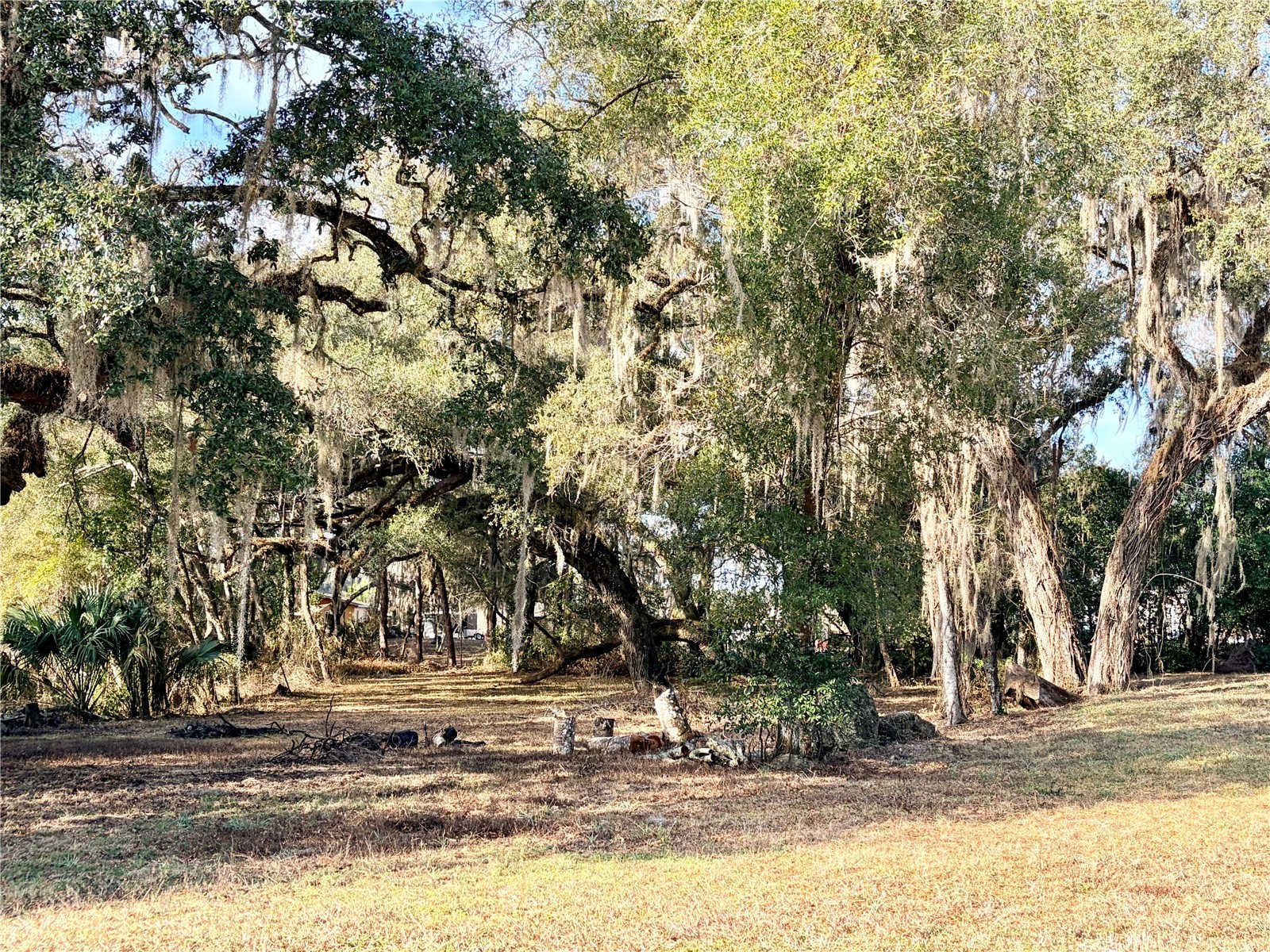 5666 S Florida Avenue Floral City FL 34436 OM718942 image8