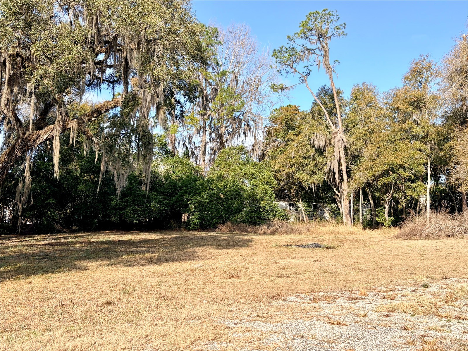 5666 S Florida Avenue Floral City FL 34436 OM718942 image9