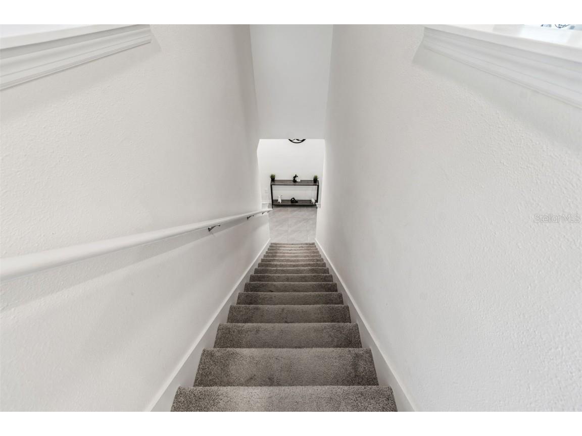 5667 Chorleywood Lane Wesley Chapel FL 33545 TB8444204 image35