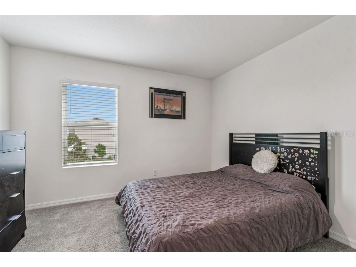 5667 Chorleywood Lane Wesley Chapel FL 33545 TB8444204 image44