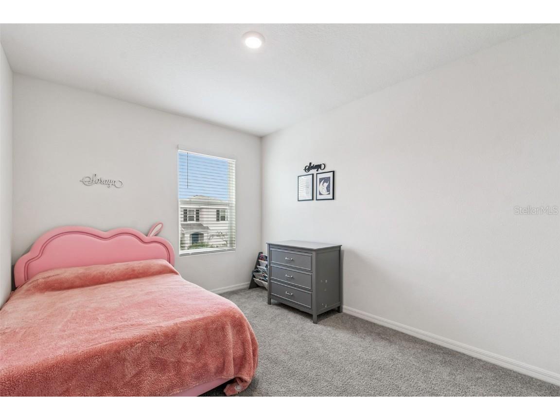 5667 Chorleywood Lane Wesley Chapel FL 33545 TB8444204 image52