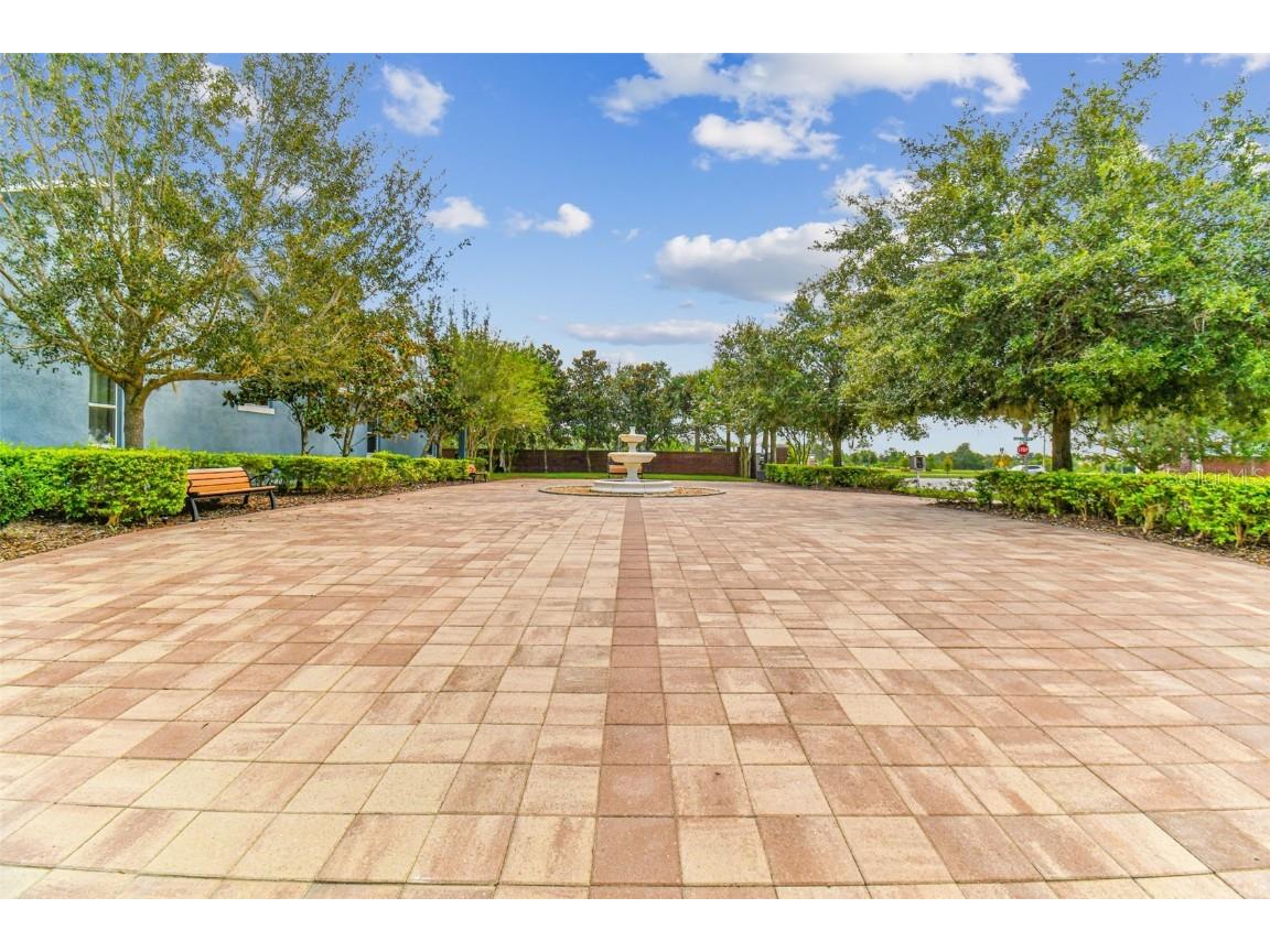 5667 Chorleywood Lane Wesley Chapel FL 33545 TB8451489 image78