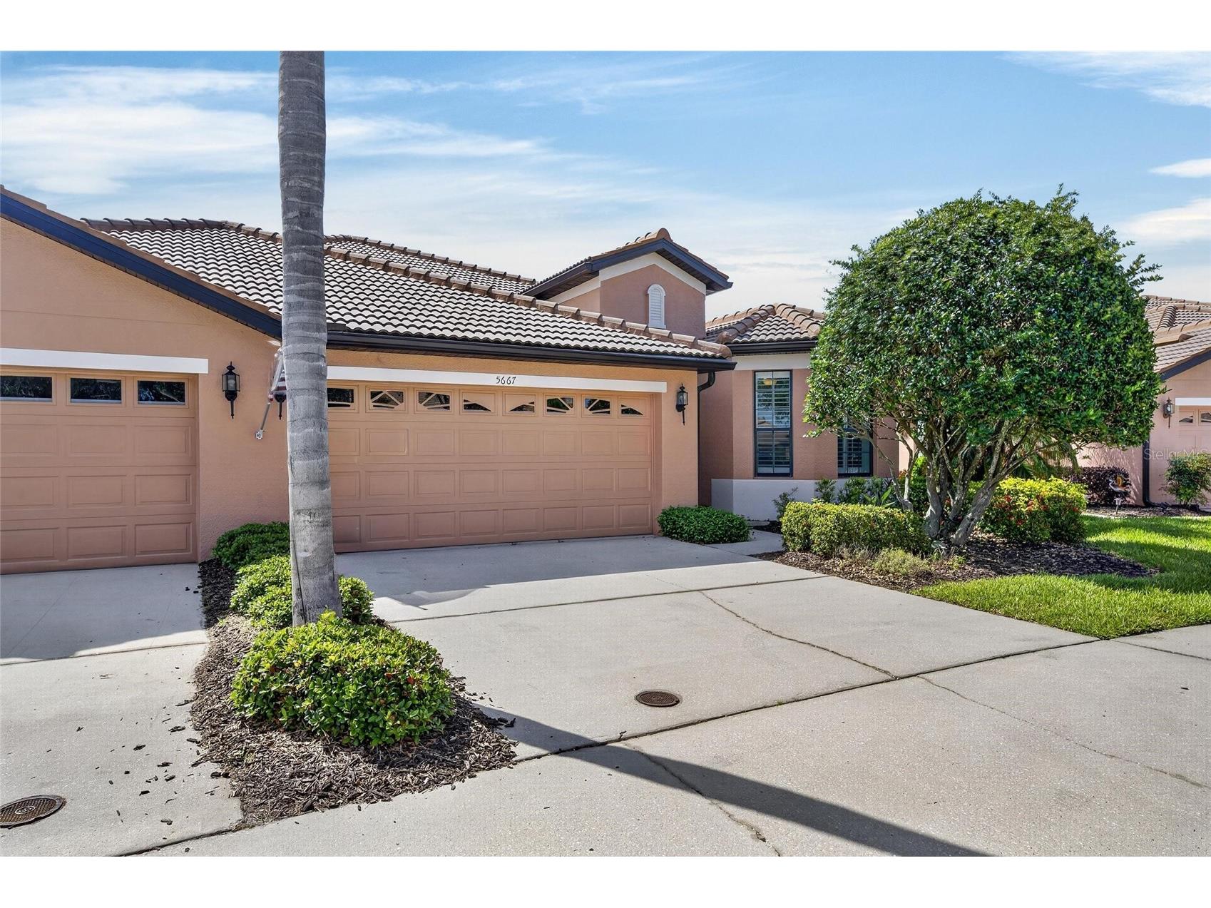 5667 Sunset Falls Drive Apollo Beach FL 33572 TB8498370 image8