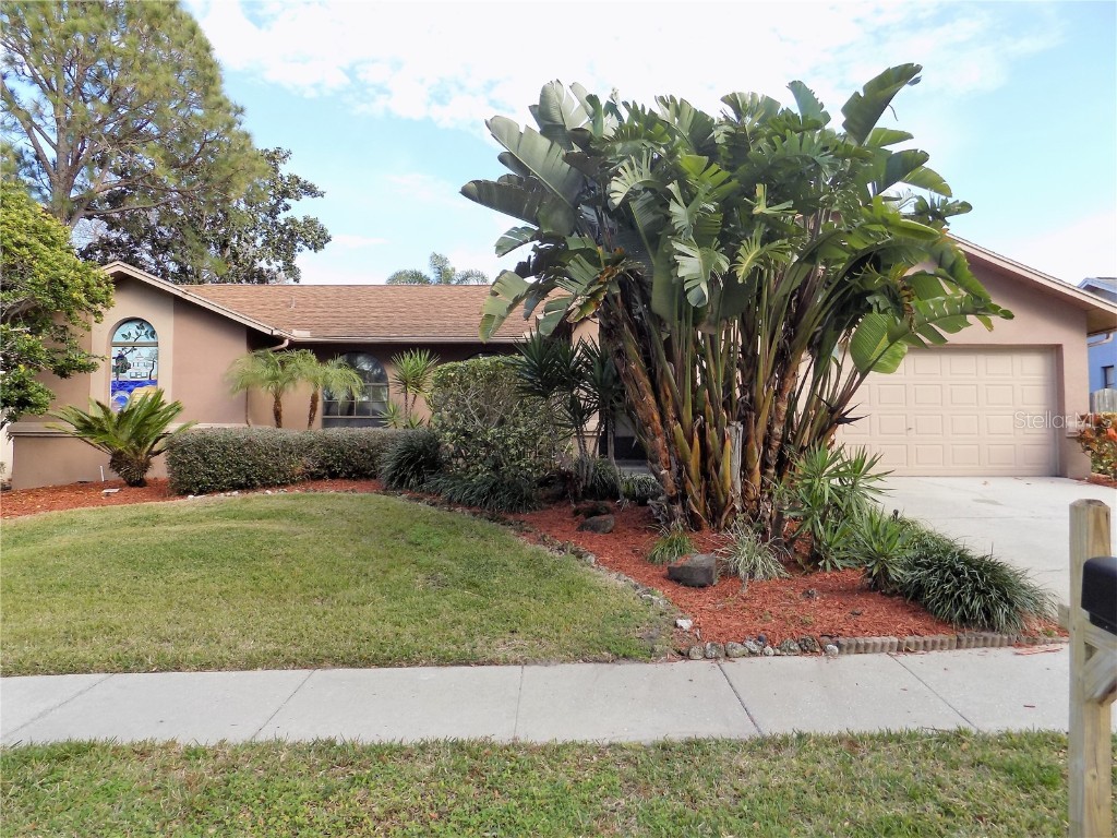 567 Allens Ridge Drive E Palm Harbor FL 34683 U8195742 image1