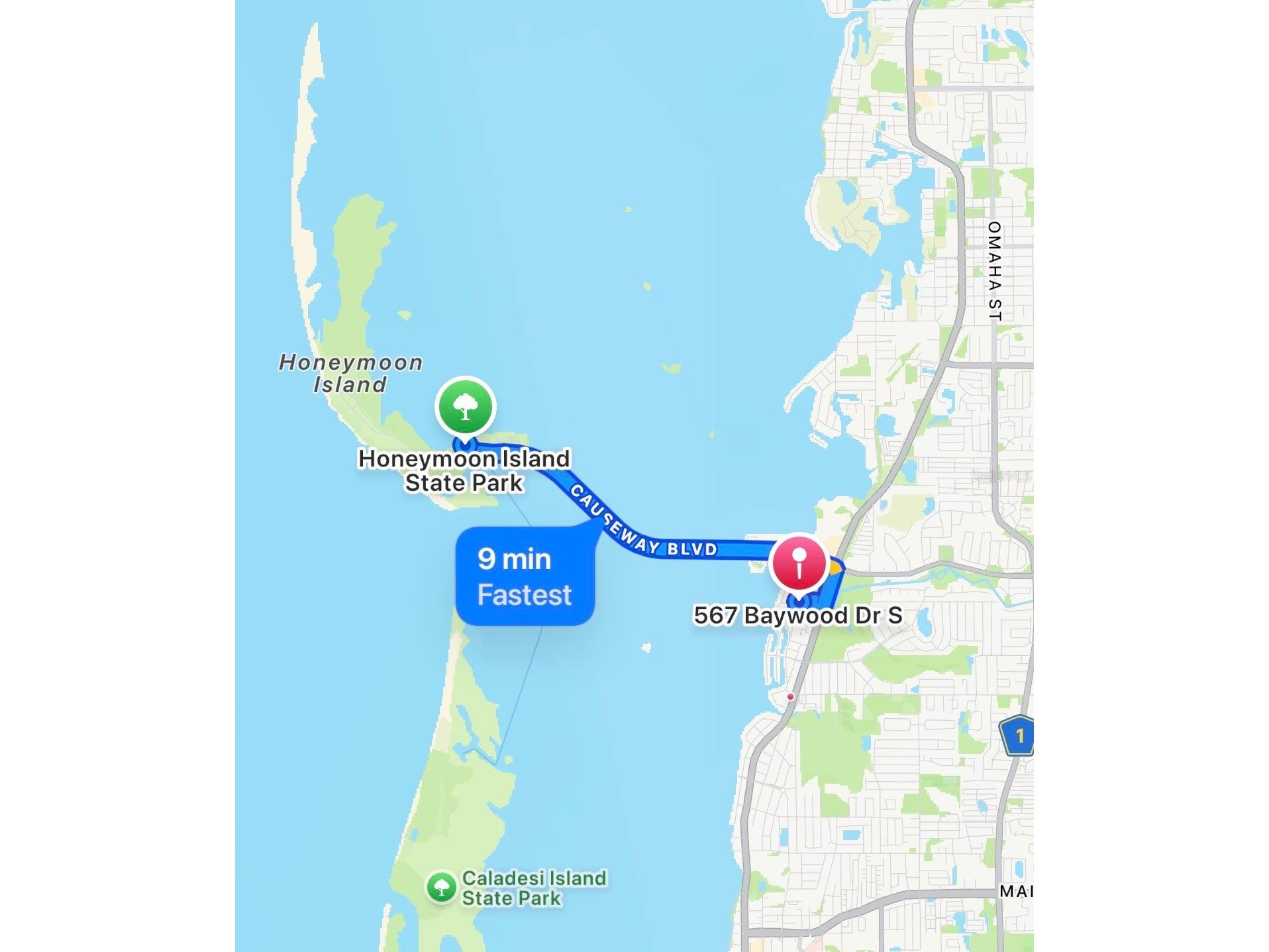567 Baywood Drive S Dunedin FL 34698 TB8472730 image59
