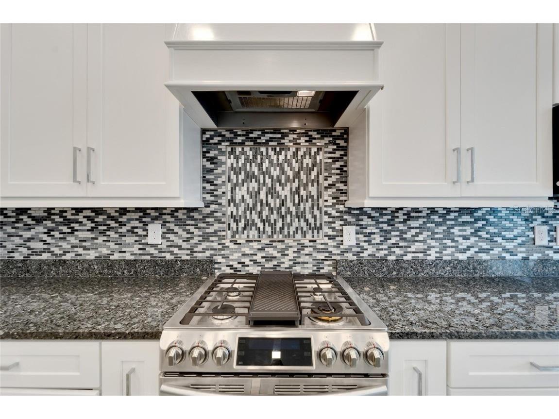 567 Bimini Bay Boulevard Apollo Beach FL 33572 T3551774 image20