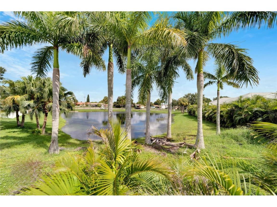 567 Bimini Bay Boulevard Apollo Beach FL 33572 T3551774 image65