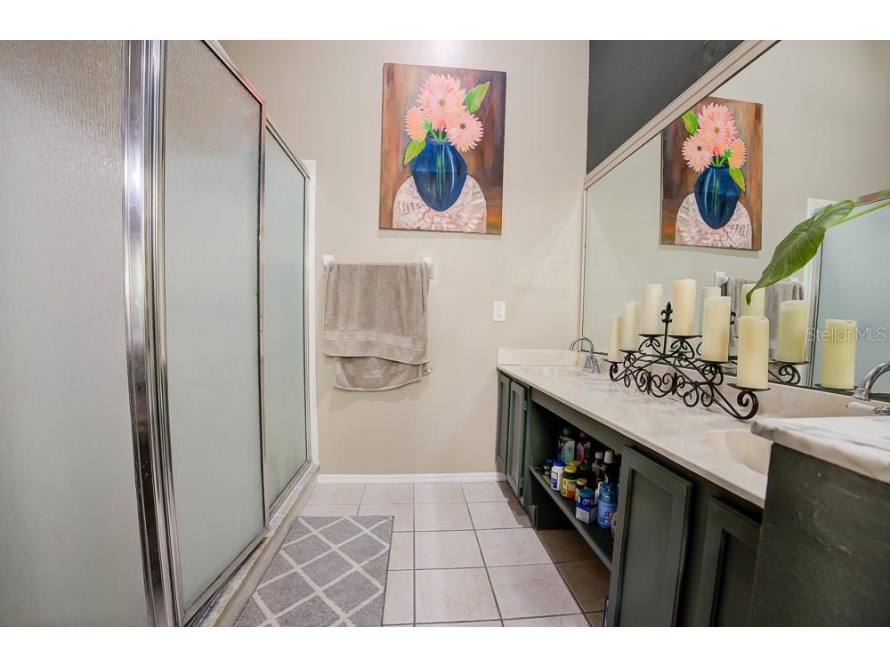 567 Silver Course Run Ocala FL 34472 OM670468 image28