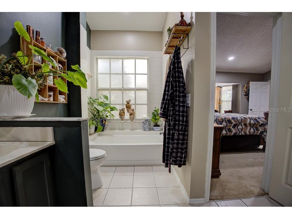 567 Silver Course Run Ocala FL 34472 OM670468 image29