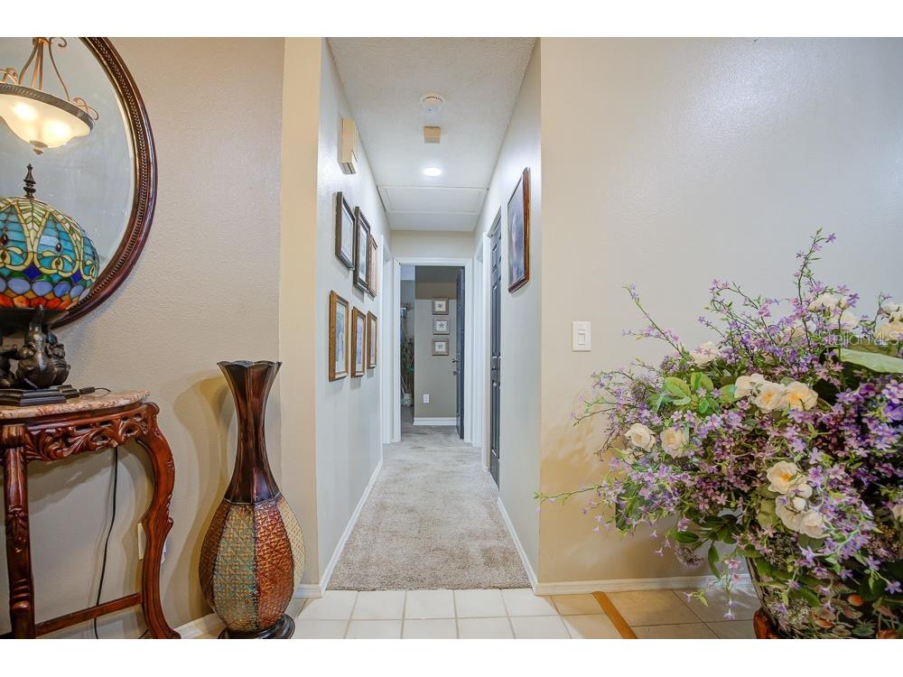 567 Silver Course Run Ocala FL 34472 OM670468 image4