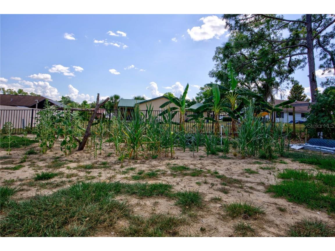 567 Silver Course Run Ocala FL 34472 OM670468 image59