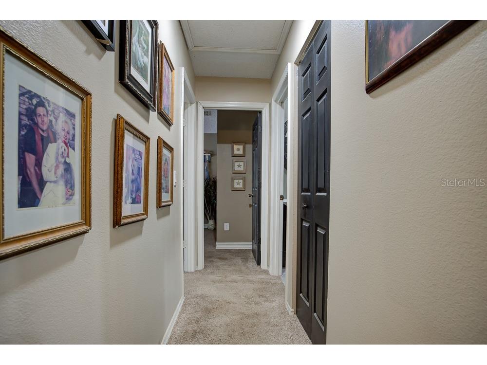 567 Silver Course Run Ocala FL 34472 OM670468 image6