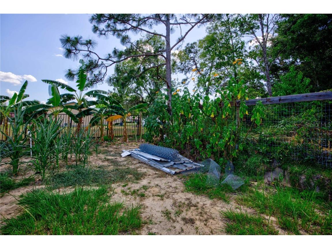 567 Silver Course Run Ocala FL 34472 OM670468 image64