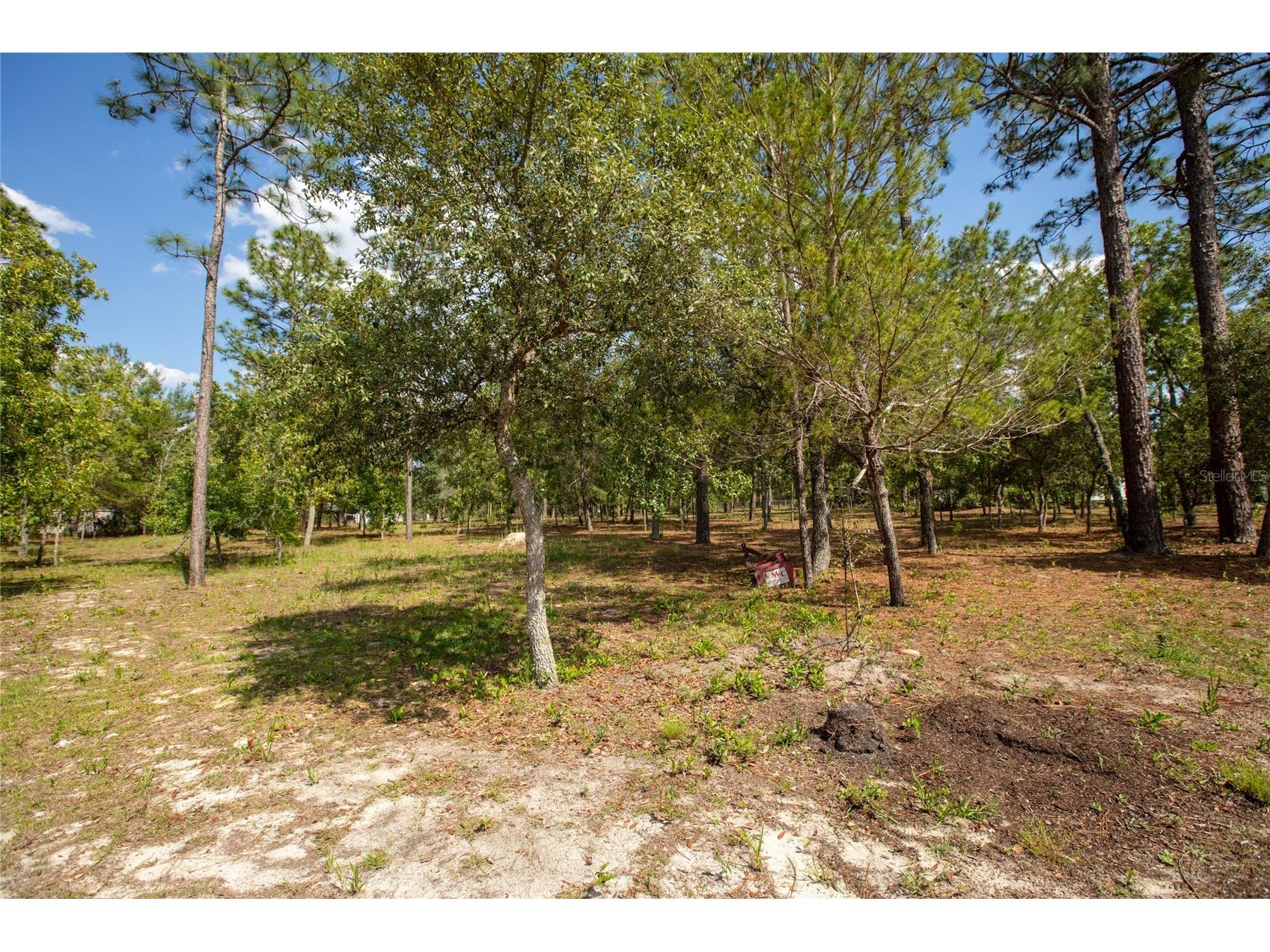 5670 Acadia Street Keystone Heights FL 32656 GC540257 image12