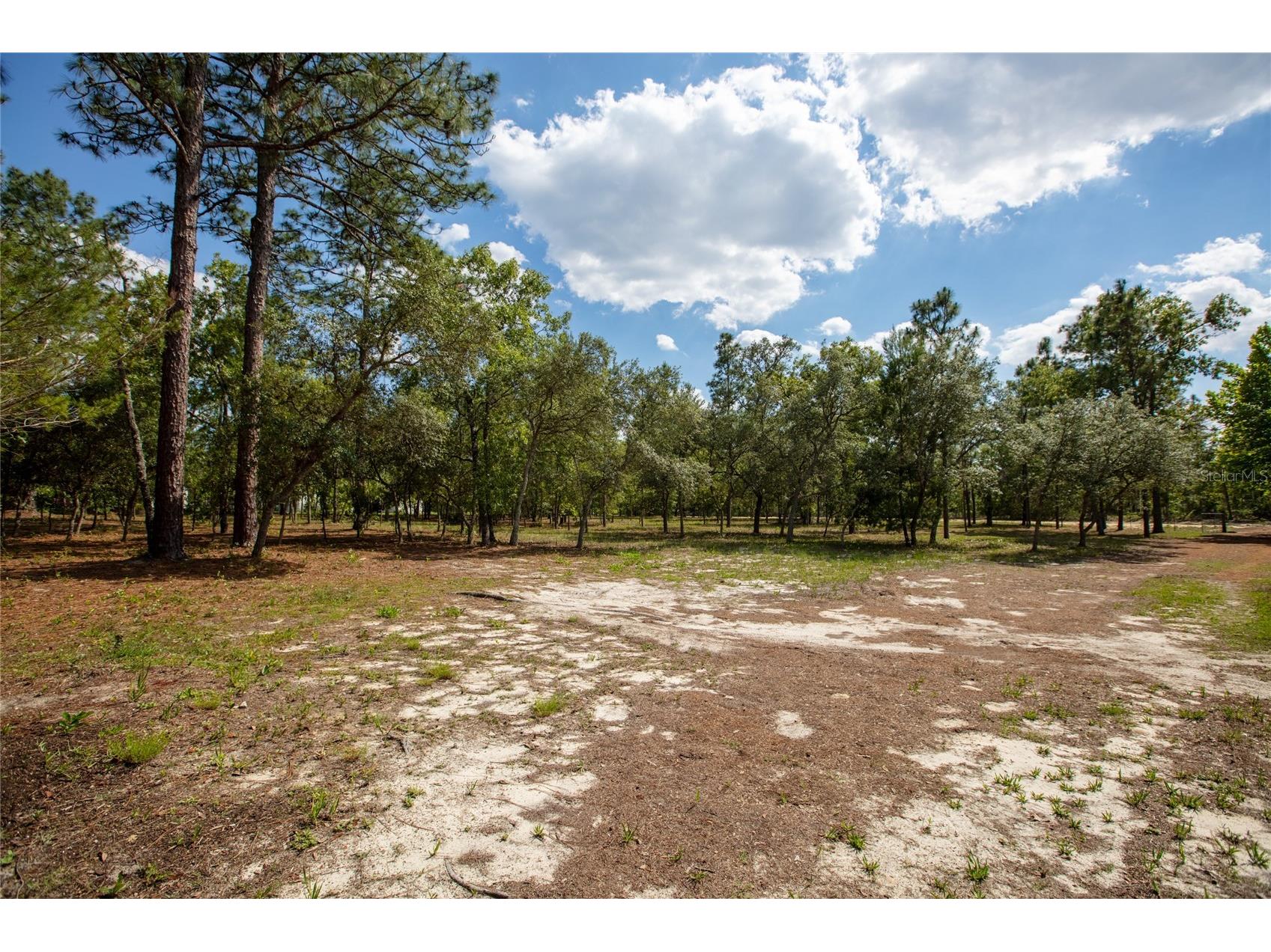 5670 Acadia Street Keystone Heights FL 32656 GC540257 image13