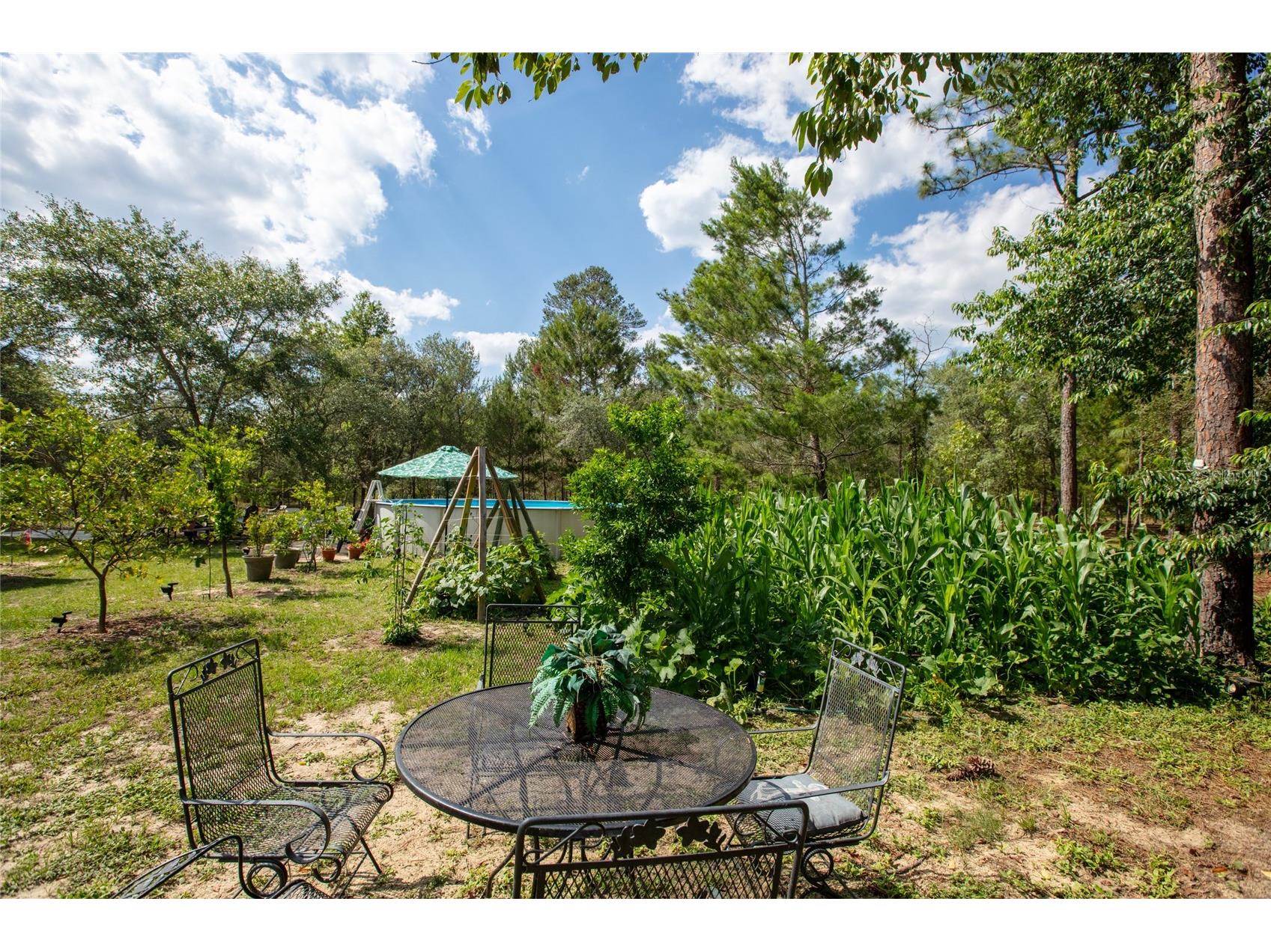 5670 Acadia Street Keystone Heights FL 32656 GC540257 image14