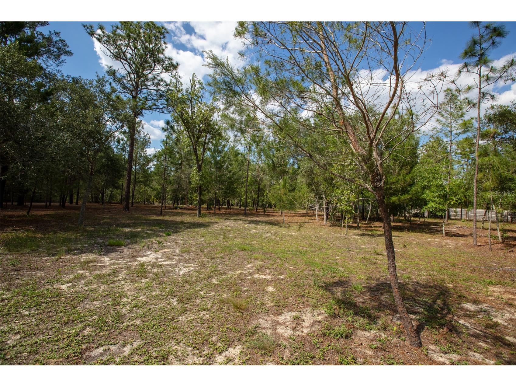 5670 Acadia Street Keystone Heights FL 32656 GC540257 image17