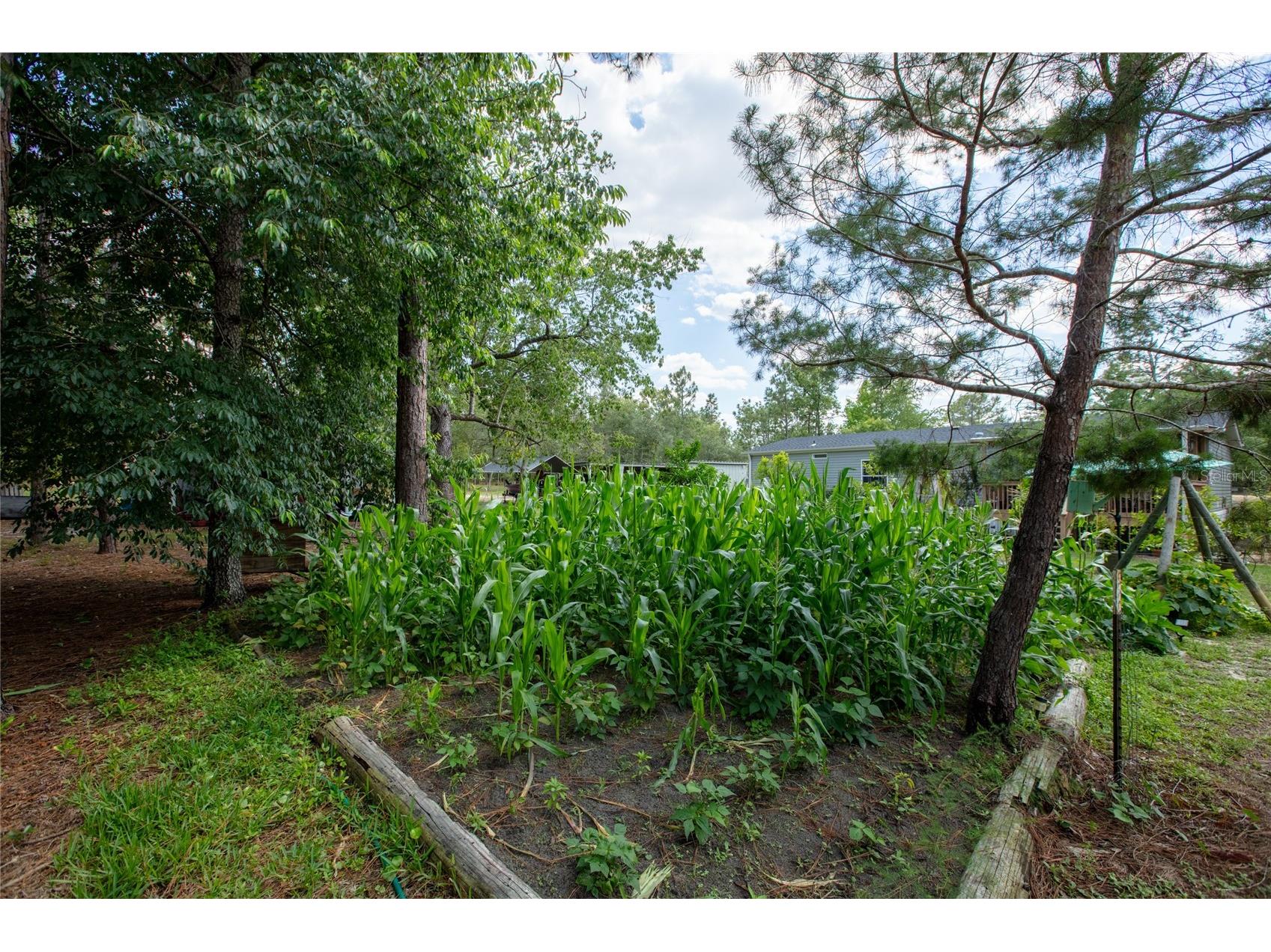 5670 Acadia Street Keystone Heights FL 32656 GC540257 image18