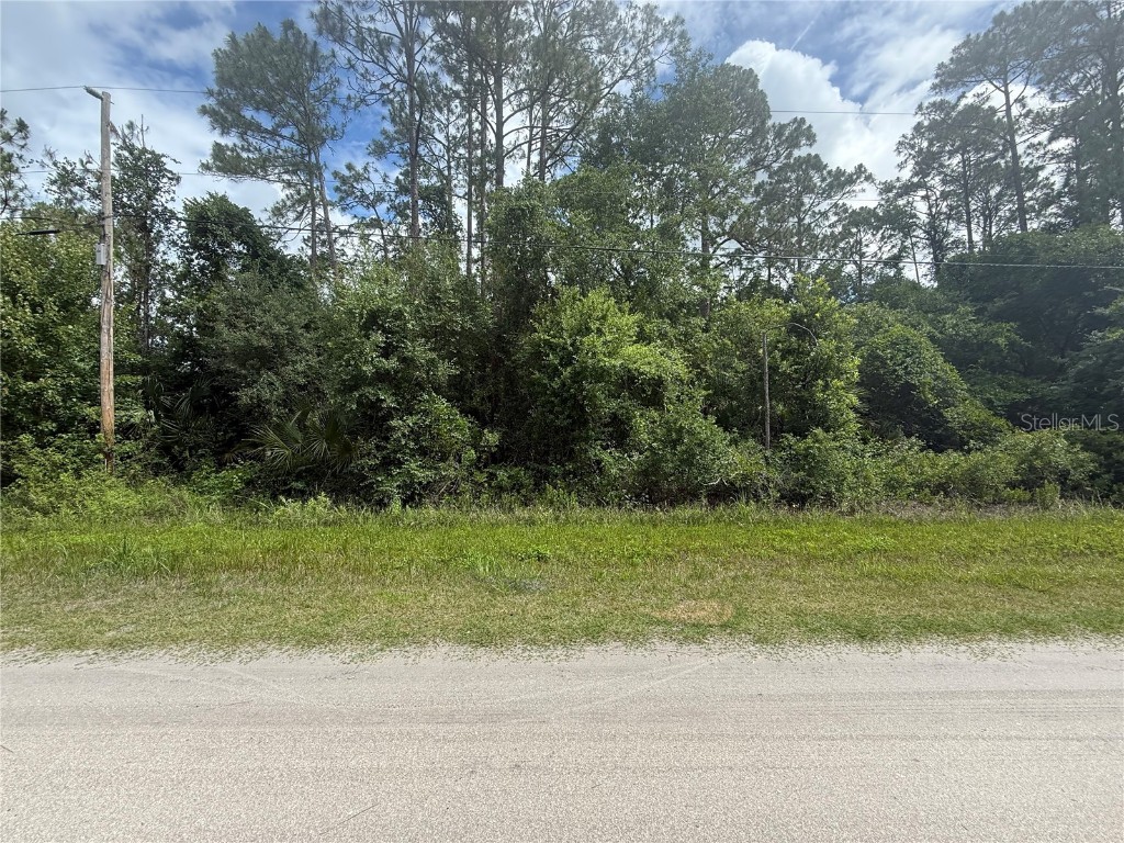5670 Nutwood Avenue Bunnell FL 32110 FC310264 image1