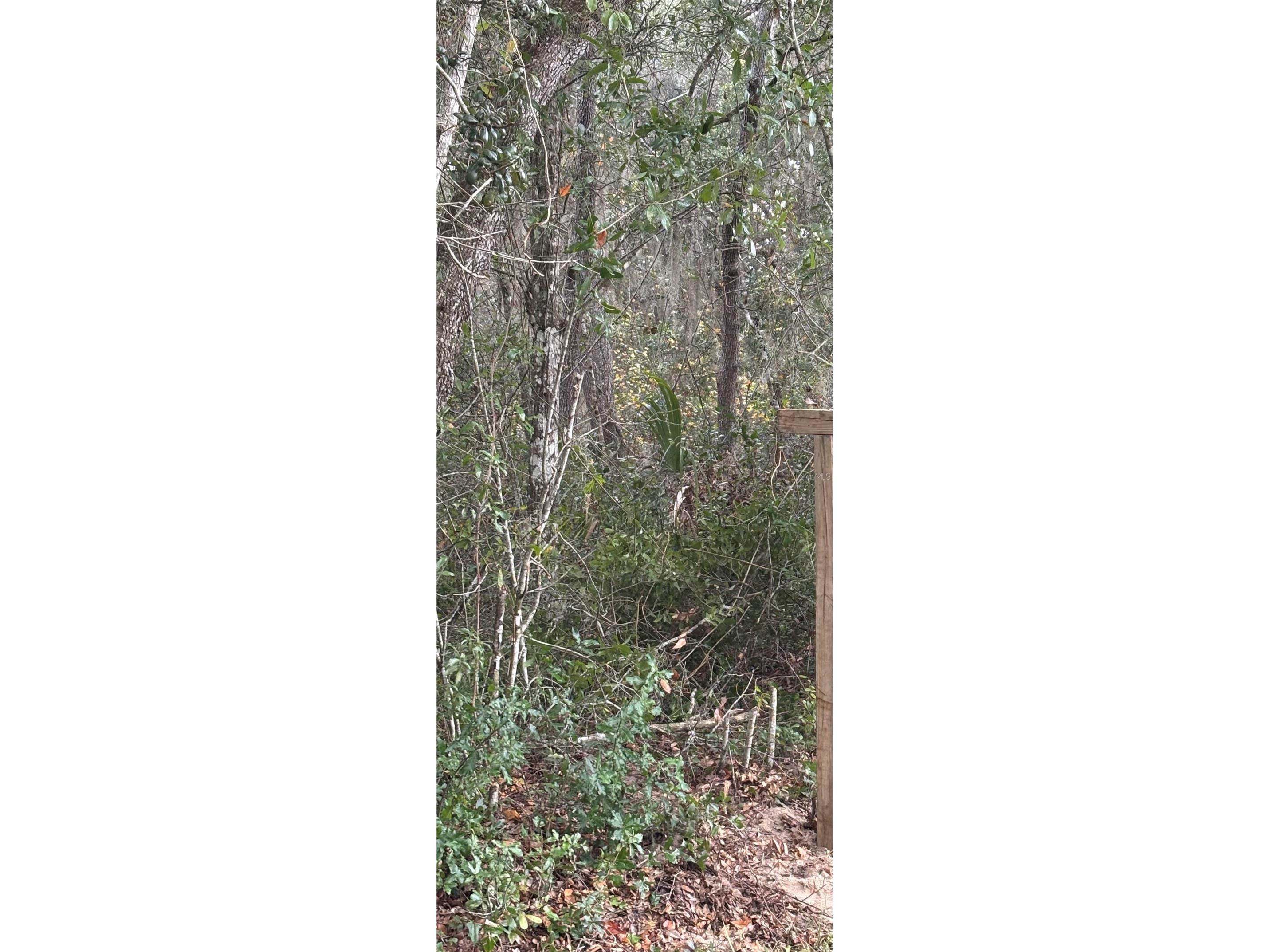 5670 West Street De Leon Springs FL 32130 TB8462120 image1