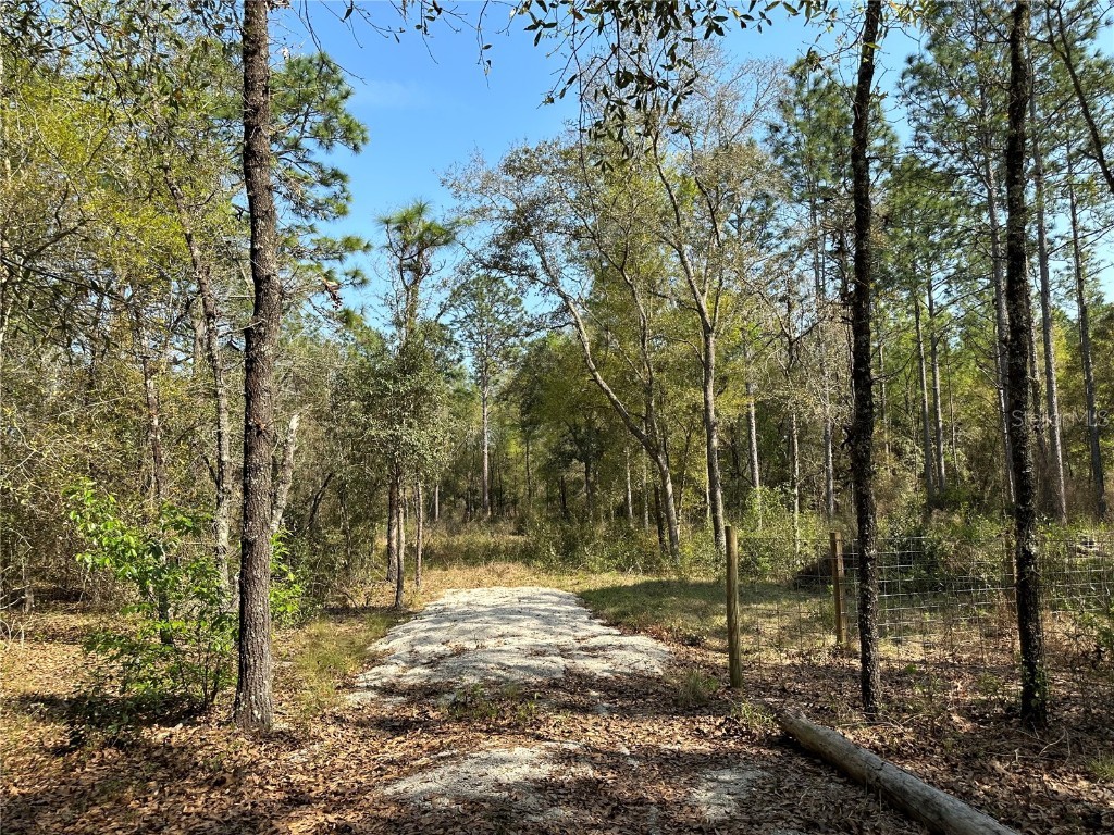 5671 NE 108th Terrace Bronson FL 32621 OM654387 image1