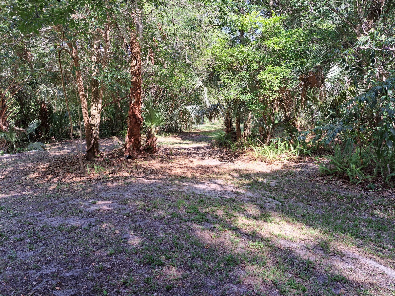 5672 Ave H Mc Intosh FL 32664 OM726662 image7