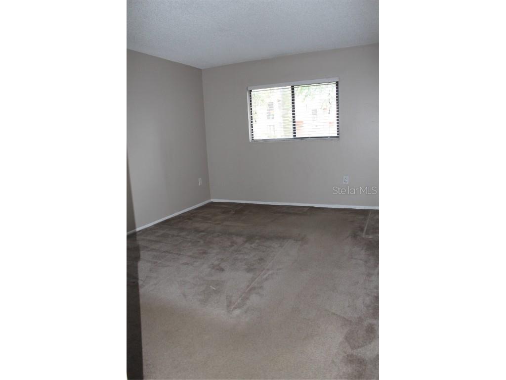 5672 Baywater Drive Tampa FL 33615 TB8426374 image7