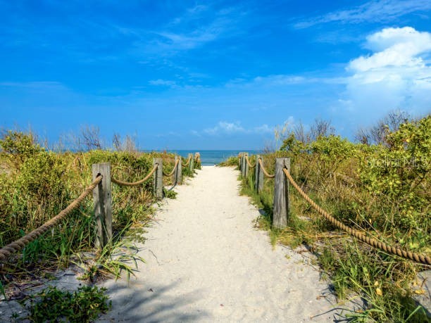 5673 Midnight Pass Road #201 Sarasota FL 34242 A4694956 image37