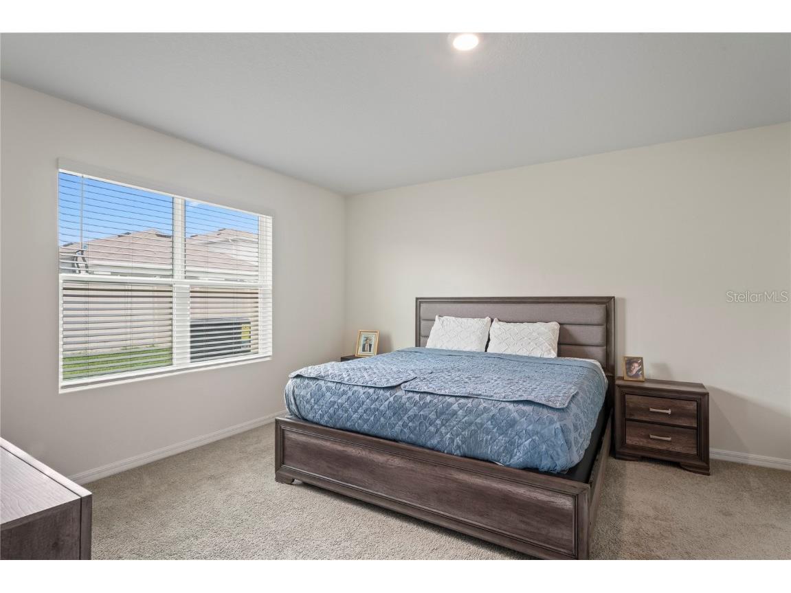 5675 Chorleywood Lane Wesley Chapel FL 33545 TB8431784 image19