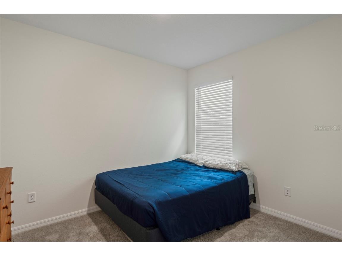 5675 Chorleywood Lane Wesley Chapel FL 33545 TB8431784 image26