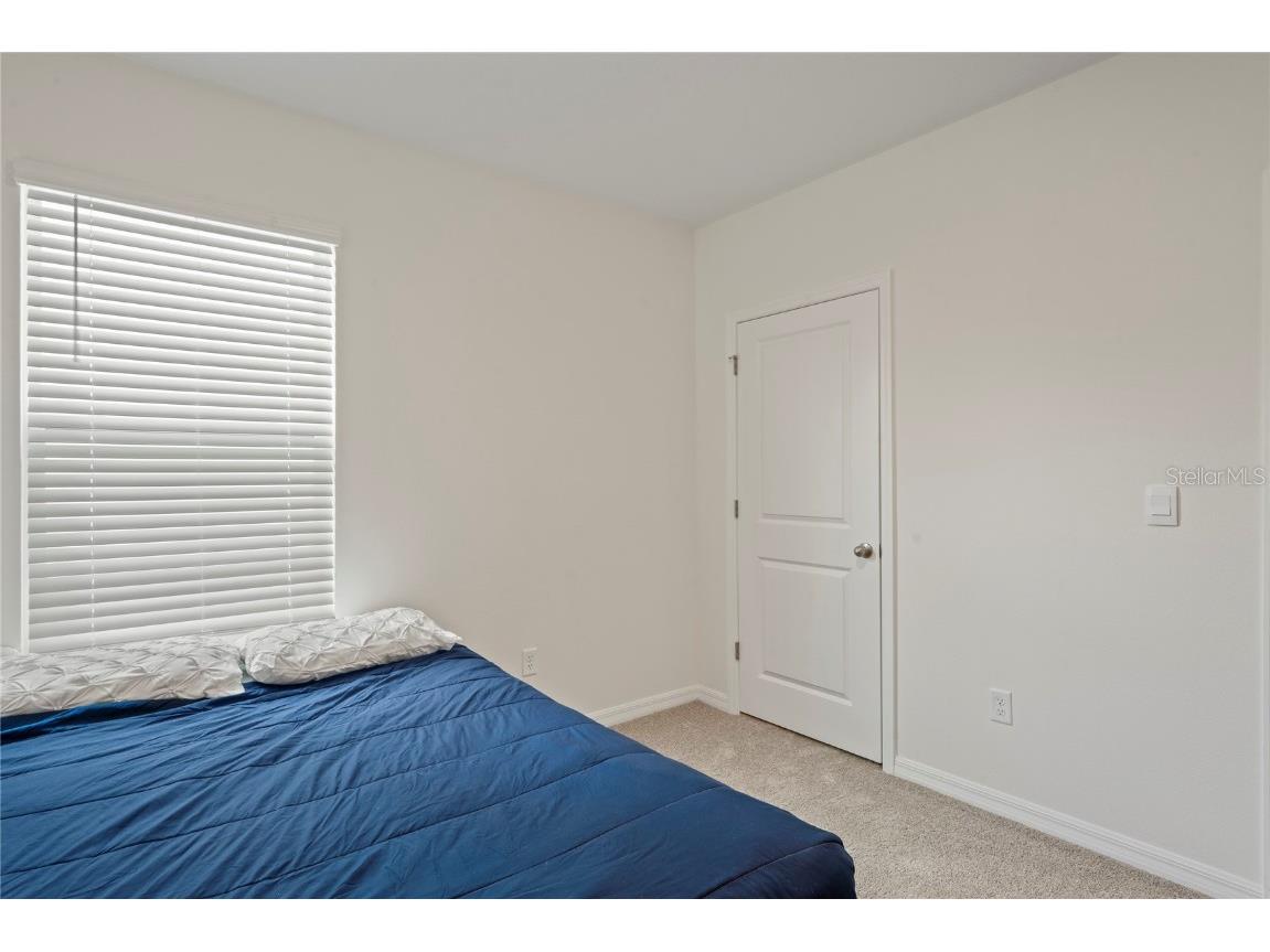 5675 Chorleywood Lane Wesley Chapel FL 33545 TB8431784 image27